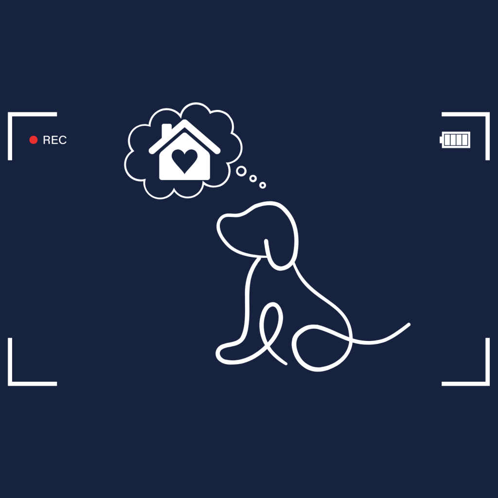 The Impawssible Dream